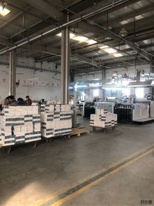 專業設計印刷一體服務 從創意構思到成品交付的全流程解決方案